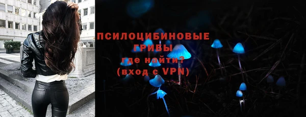 a pvp Надым