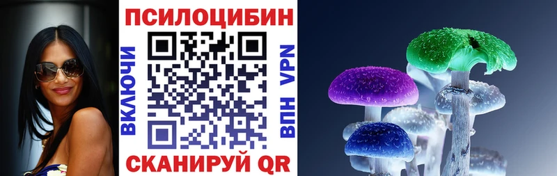 Купить закладки  Полысаево  Псилоцибиновые грибы Cubensis 